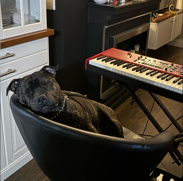 Babush in the studio